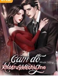 Cám Dỗ Khó Cưỡng - tác giả: Nhược Mộng