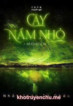 Cây Nấm Nhỏ