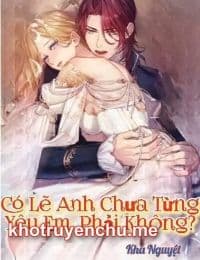 Có Lẽ Anh Chưa Từng Yêu Em, Phải Không?