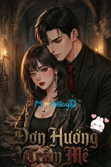 Đơn Hướng Trầm Mê
