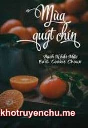 Mùa Quýt Chín