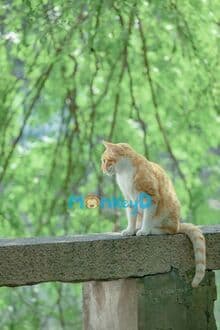 Sau Khi Trọng Sinh, Ta Chỉ Muốn Tu Luyện Thật Tốt