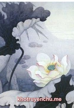Thịnh Thế Hắc Liên Hoa