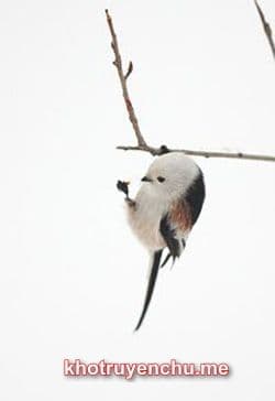 Thượng Đế Phù Hộ