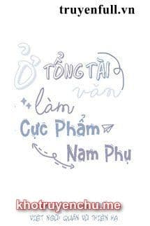 Ở Trong Văn Tổng Tài Làm Cực Phẩm Nam Phụ (tác giả Tam Thiên Phong Tuyết)