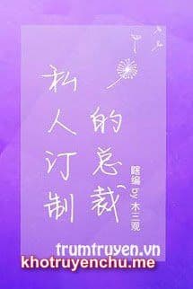 Tổng Tài Định Chế Tư Nhân - Tống Phong Thời tác giả Mộc Tam Quan