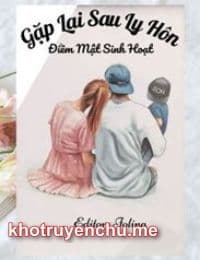 Gặp Lại Sau Ly Hôn - Thẩm Diễm - Cố Thừa Minh